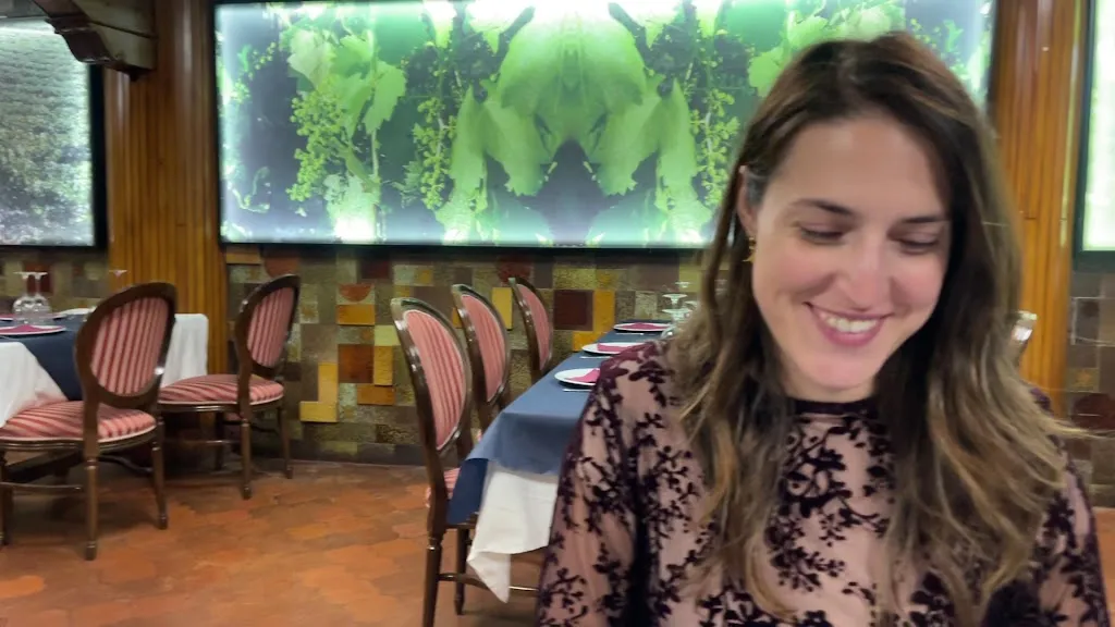 Mesón de la Villa_Aranda de Duero_slider_image_2