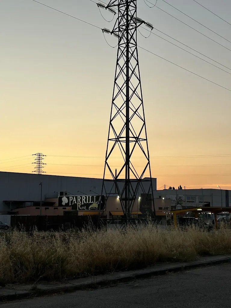 Dilawar Singh_Parrilla 