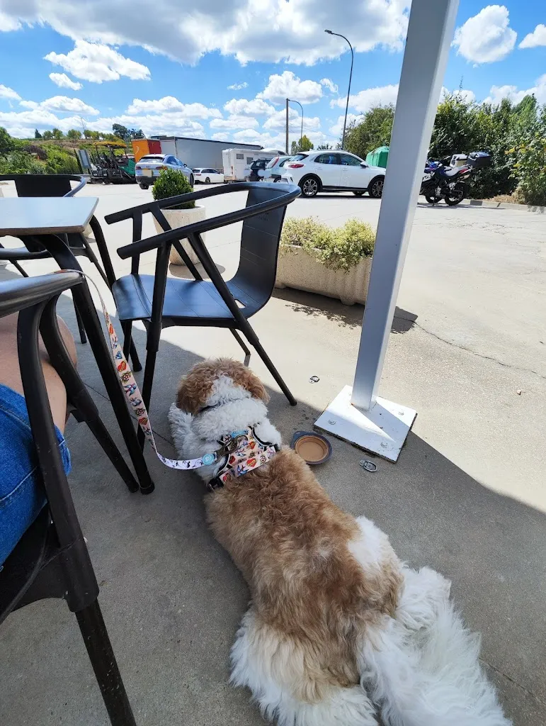 Castrillo de La Vega_Castrillo de la Vega_slider_image_2