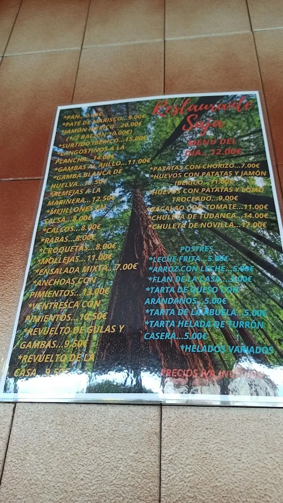 Menu_Restaurante Saja_Cabezón de la Sierra_image_1