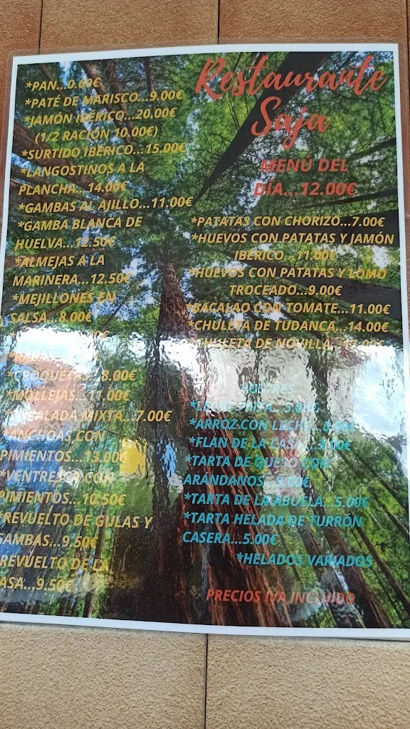 Menu_Restaurante Saja_Cabezón de la Sierra_image_3