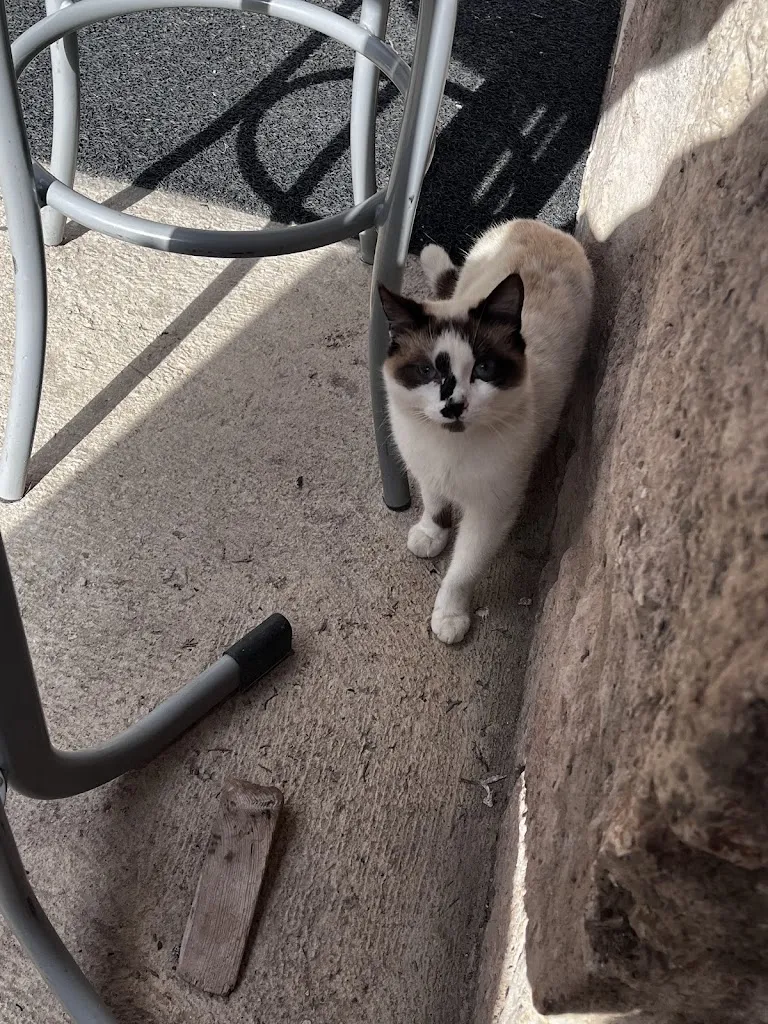 이소연_Bar Restante la fueta_Celada del Camino_review