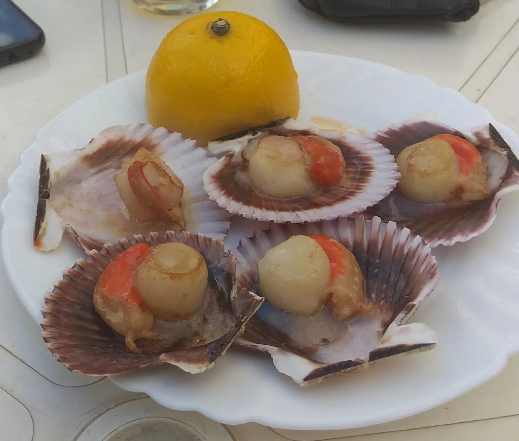 Menü_Bar Terraza Eduardo_Ciruelos de Cervera_Bild_1