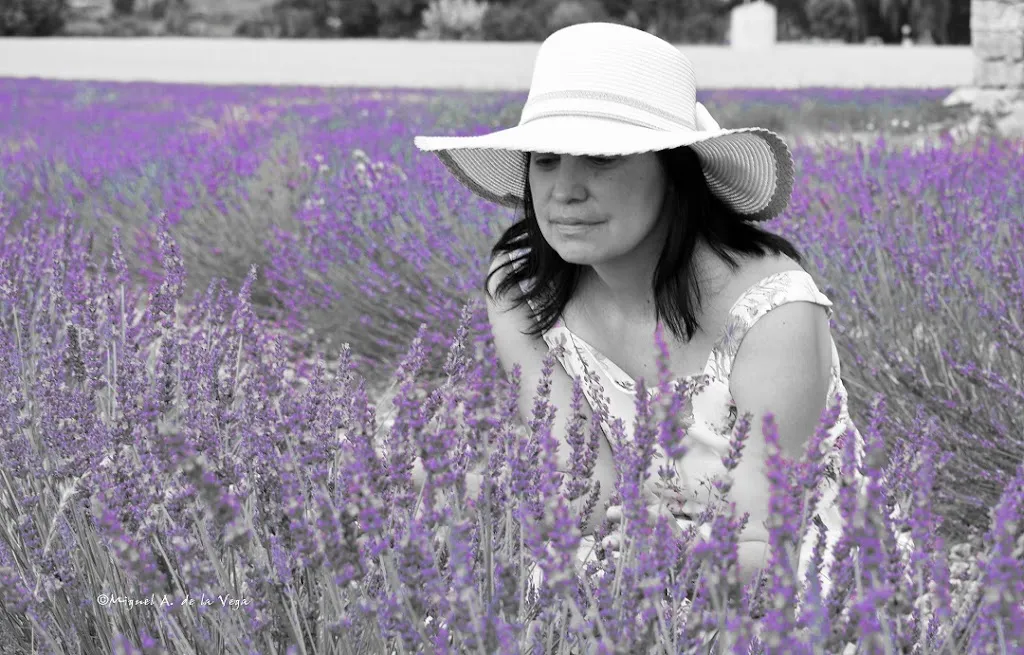 Miguel Angel De la Vega Pereda_Aire De Arlanza. Lavanda y turismo rural en Burgos._Cilleruelo de Arriba_review