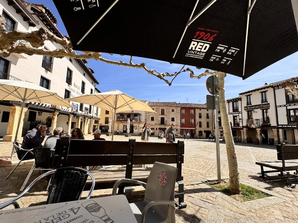 D_El Pozo de Fernán González_Covarrubias_review