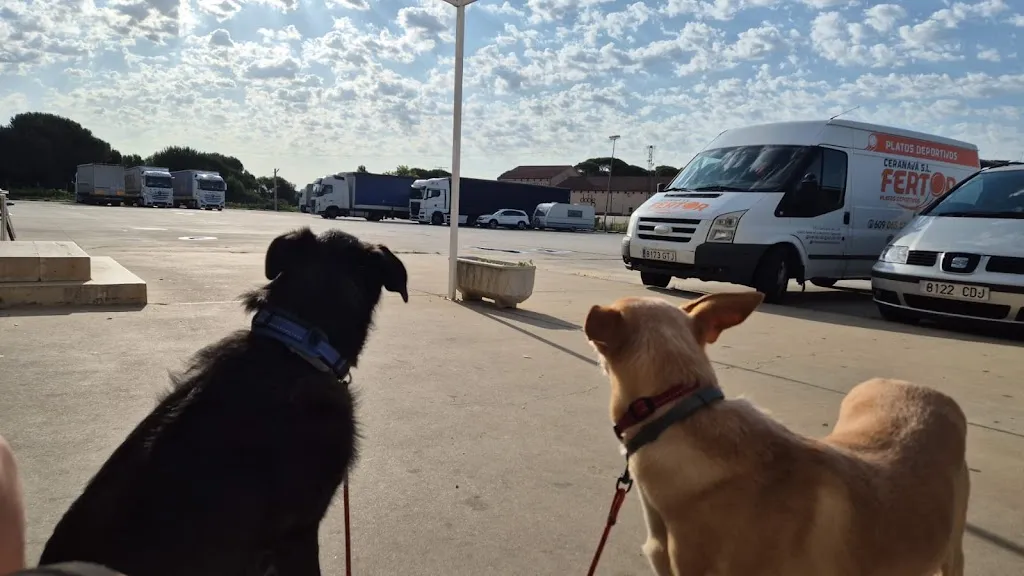 Leti S_Restaurante Las Solanas_Fuentecén_review