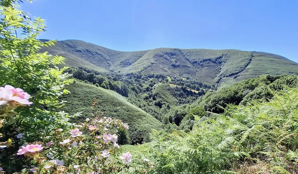 Espinosa de Los Monteros restaurant in Espinosa de los Monteros