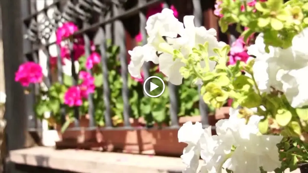 Mesón Restaurante El Molino_Fuentemolinos_slider_image_2