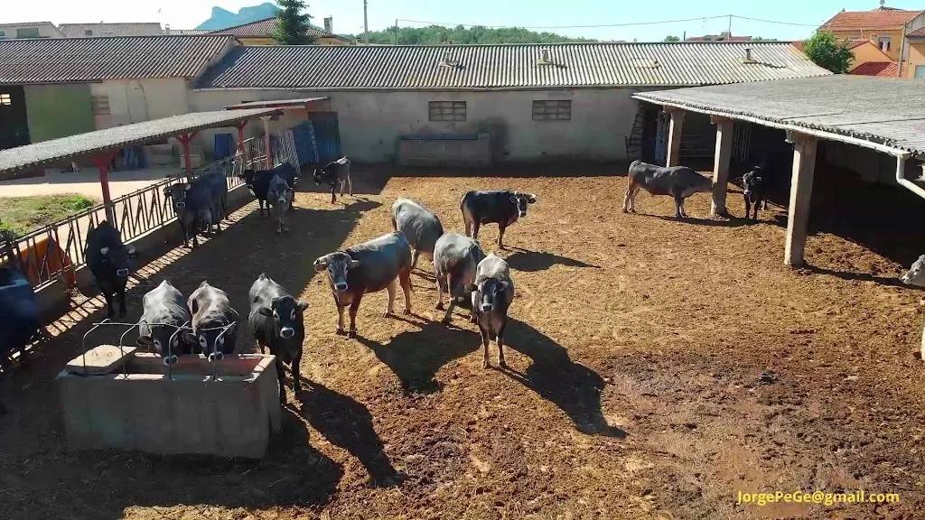 Sidrería Asador Fuentelamora_Hacinas_slider_image_2