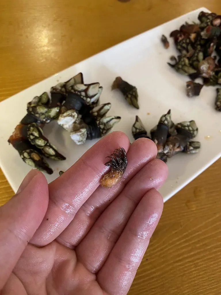 Menu_Redes Compostela - Mariscos & Tapas_Santiago de Compostela_image_7