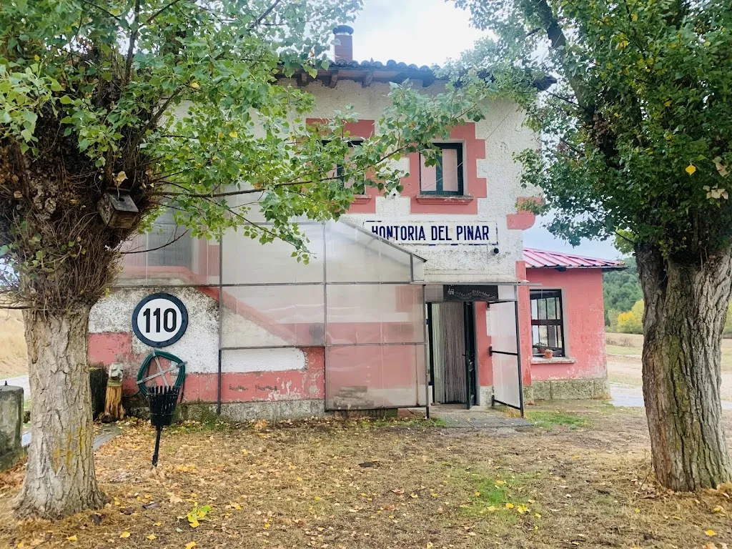 Inés Orellana_Wolf River Station_Hontoria del Pinar_review