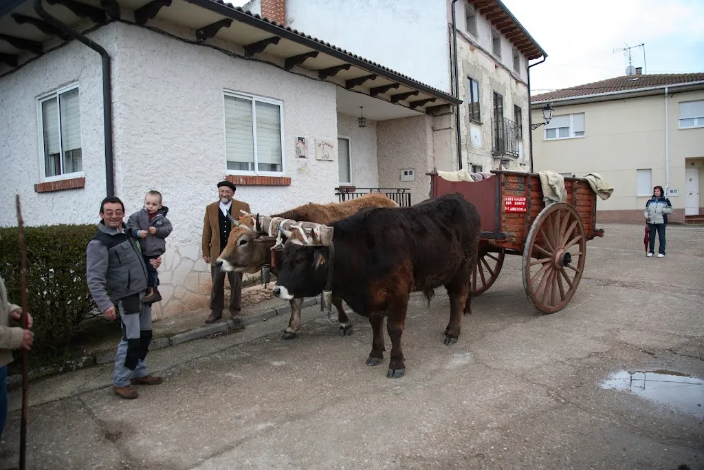 La Conejera, Casa Rural en Madrigalejo del Monte _Madrigalejo del Monte_slider_image_2