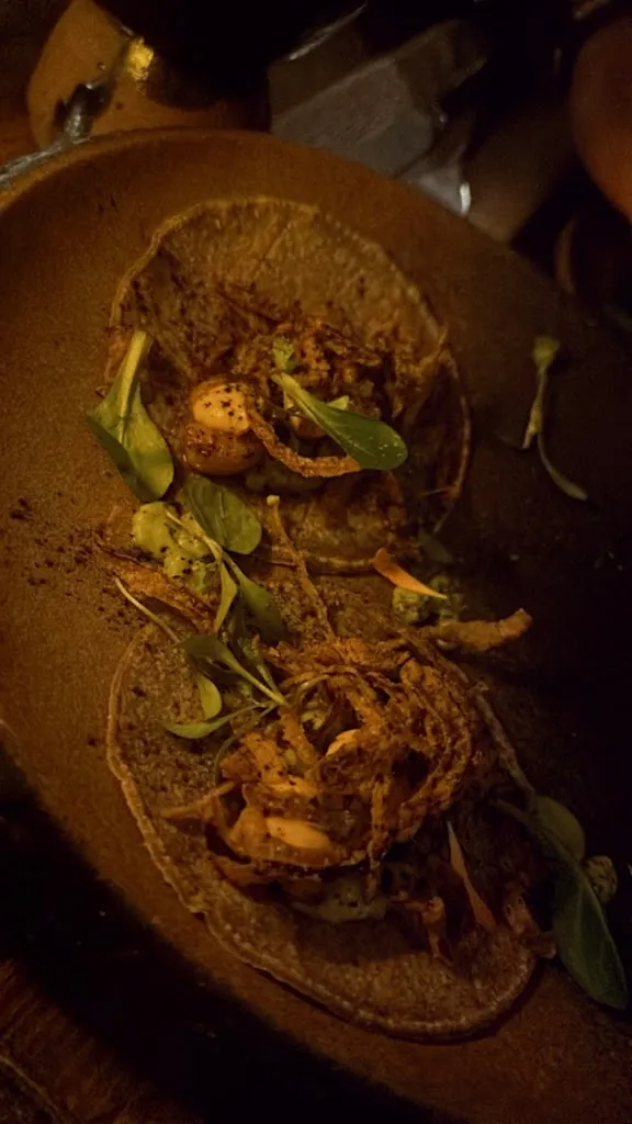 Cindy Kaufmann_MAZÛL_Mazuela_review