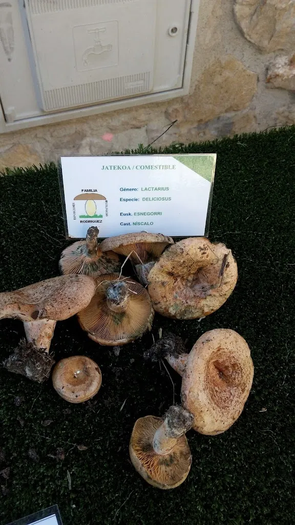 Menu_Mesón La Ventilla_Merindad de Cuesta-Urria_image_2