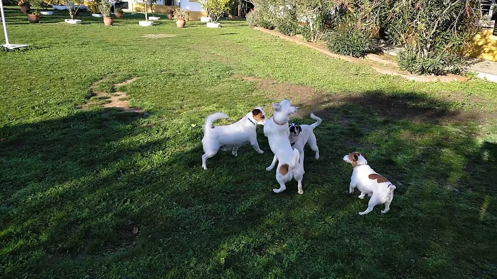 Hotel Rural El Vaqueril_Monasterio de Rodilla_slider_image_2