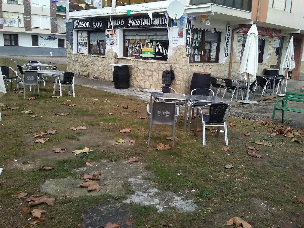 Meson Los Pinos Restaurante_Medina de Pomar_slider_image_2