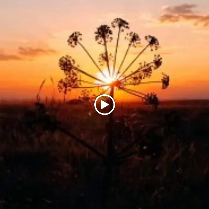Bar Restaurante Las Eras_Palazuelos de Muñó_slider_image_2