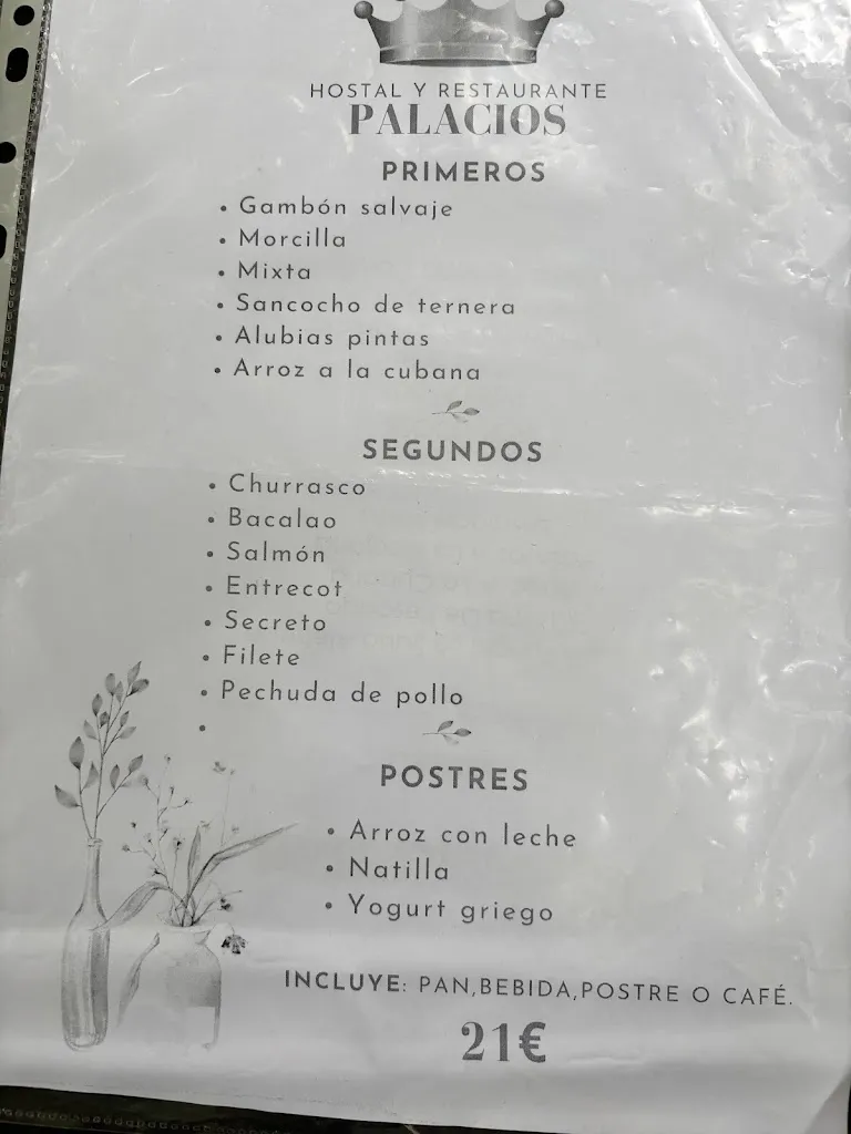 Menu_Hostal Restaurante Palacios_Puebla de Arganzón La_immagine_1