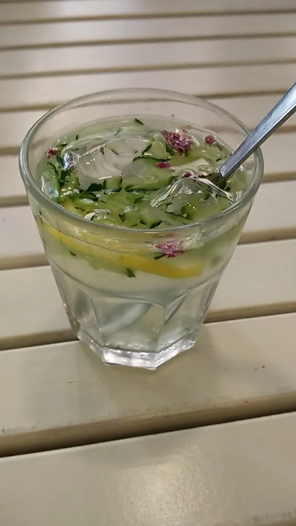 Menu_Banibanoo_Rábanos_image_5