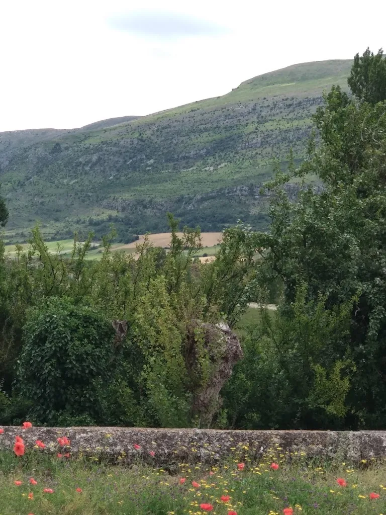 Manuela Megia_Castillo de Rebolledo de la Torre_Rebolledo de la Torre_review