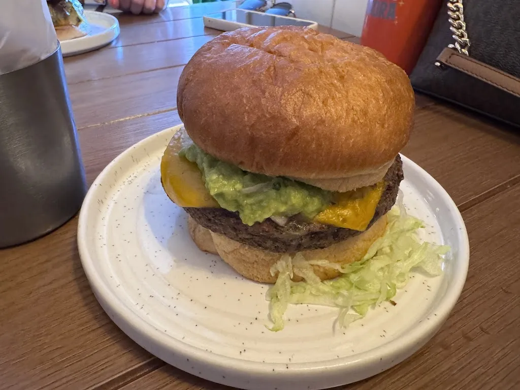 Anannya Uberoi_HUNDRED_Roa_review