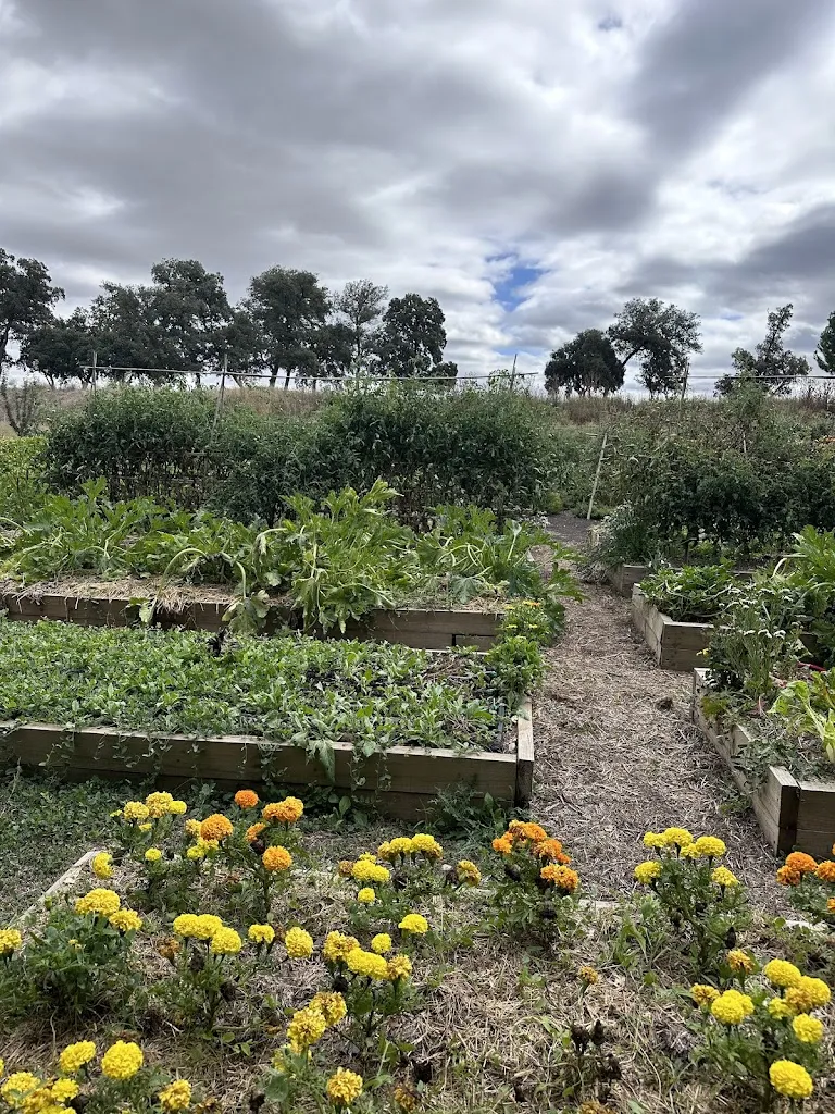 Jerusha Frost_Restaurante Vinoteca - Abadía Retuerta LeDomaine_Retuerta_review