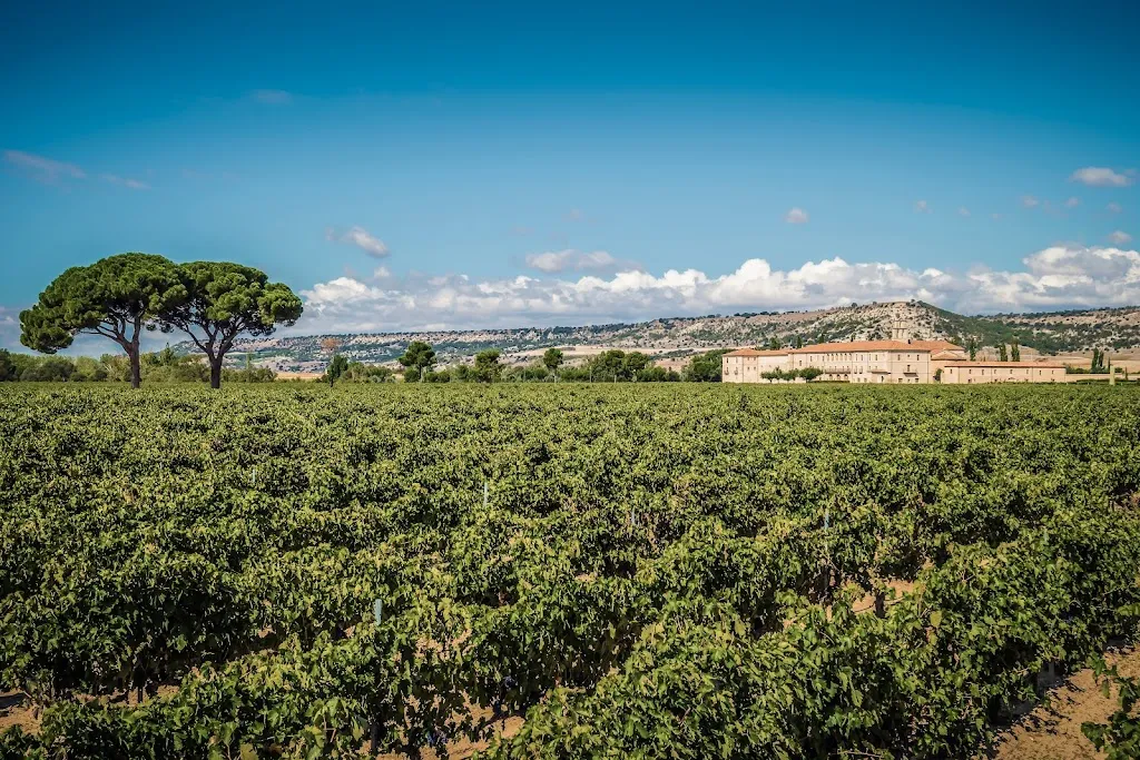 Abadía Retuerta - Bodega_Retuerta_slider_image_1