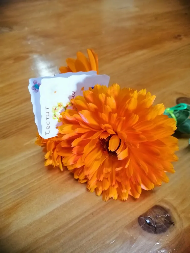 Greta Ivanova_Bar Centro_San Martín de Rubiales_review