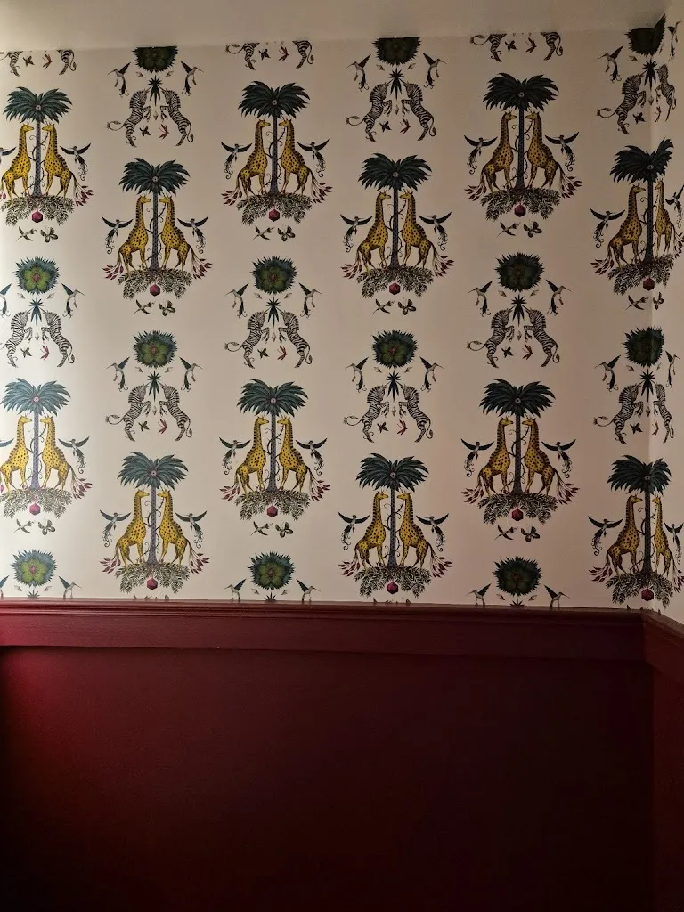 Eliza N_Barra Amelia_Santa Cecilia_review