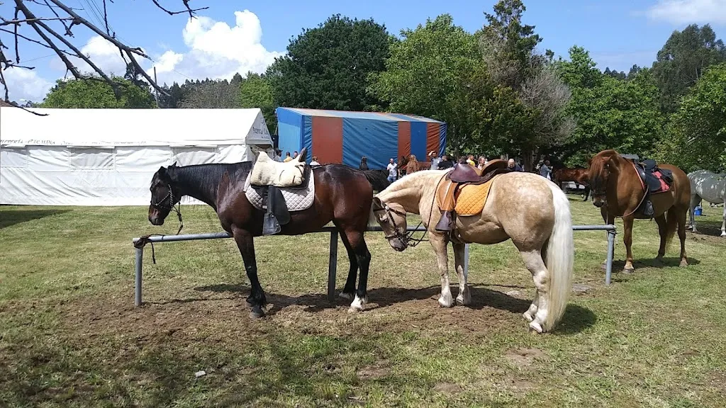 Café Bar Estánco_Vilarmaior_slider_image_3