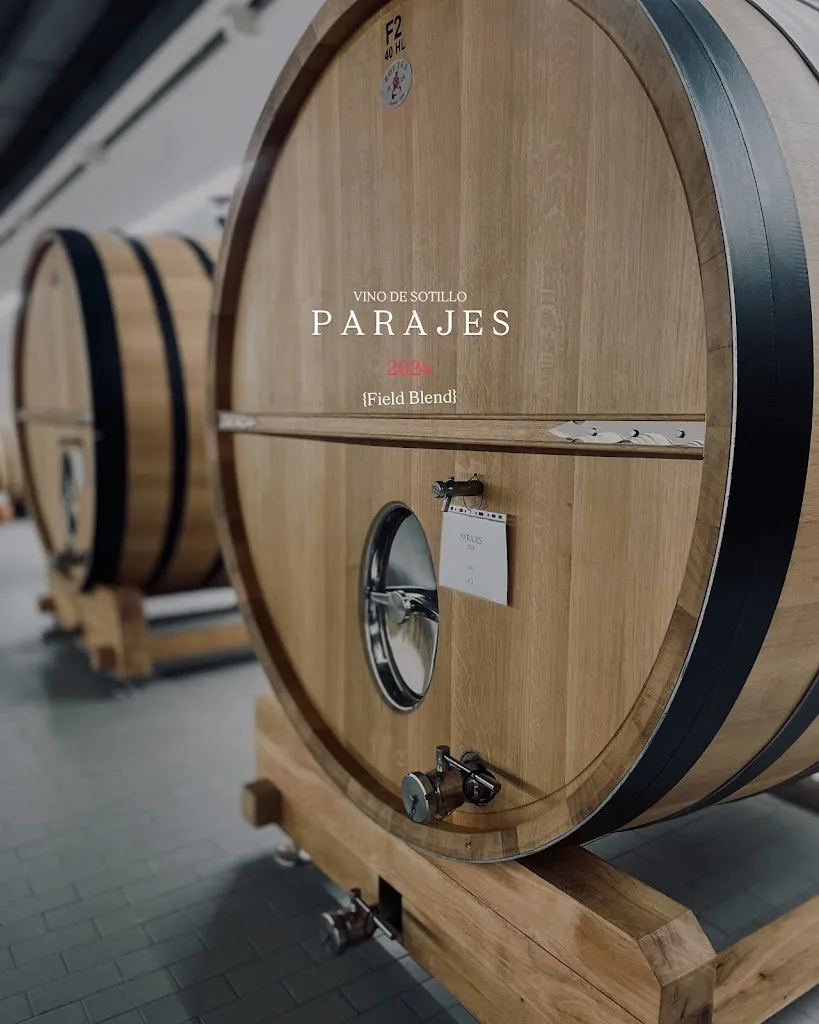 Bodegas Félix Callejo - Ribera del Duero restaurant in Sotillo de la Ribera