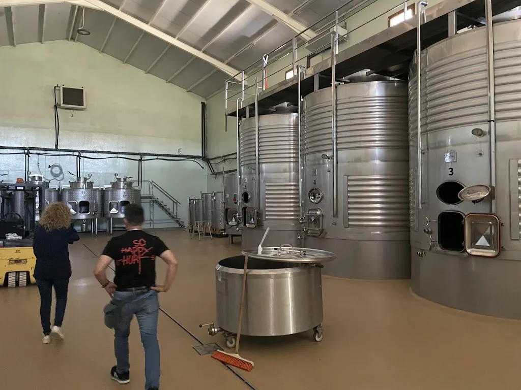 Sergi Pejoan_Bodega Rubiejo - Ribera del Duero_Sotillo de la Ribera_review