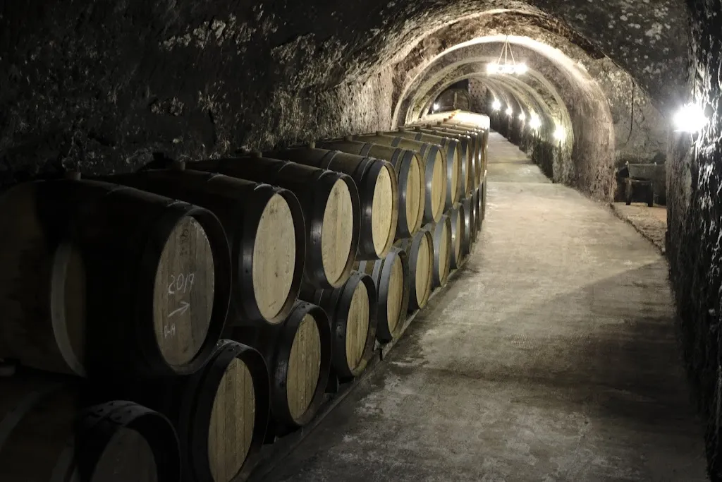 Bert T._Bodegas Ismael Arroyo | ValSotillo - Ribera del Duero_Sotillo de la Ribera_review