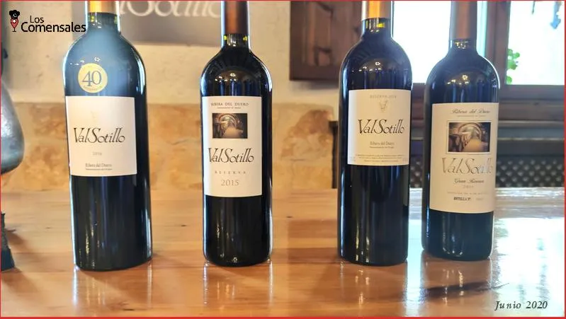 Bodegas Ismael Arroyo | ValSotillo - Ribera del Duero_Sotillo de la Ribera_slider_image_2