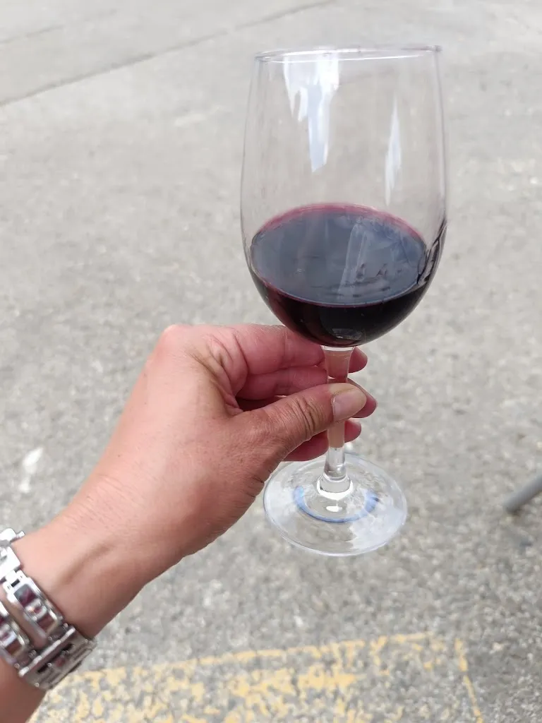 Luna Lunera_Los Nogales - Restaurante Comida Casera - Menús para llevar_Torresandino_review