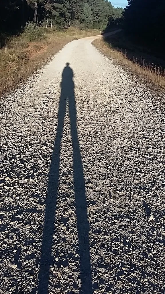 bernard philips_El Pájaro_Valle de Oca_recensione