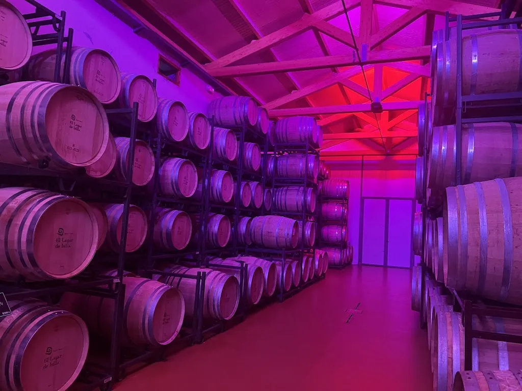 Angel Saiz_BODEGAS EL LAGAR DE ISILLA S.A._Vid de Bureba La_review