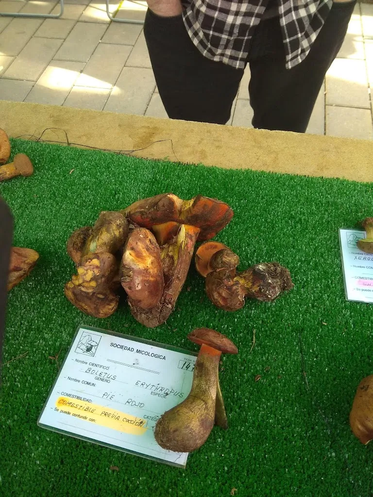 Menu_La Bodeguilla del Medio_Valle de Mena_image_5