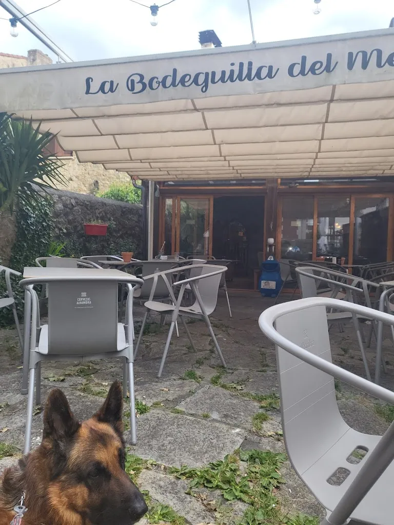 La Bodeguilla del Medio_Valle de Mena_slider_image_3