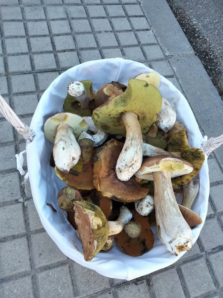 Restaurante El Refugio_Valle de Mena_slider_image_3