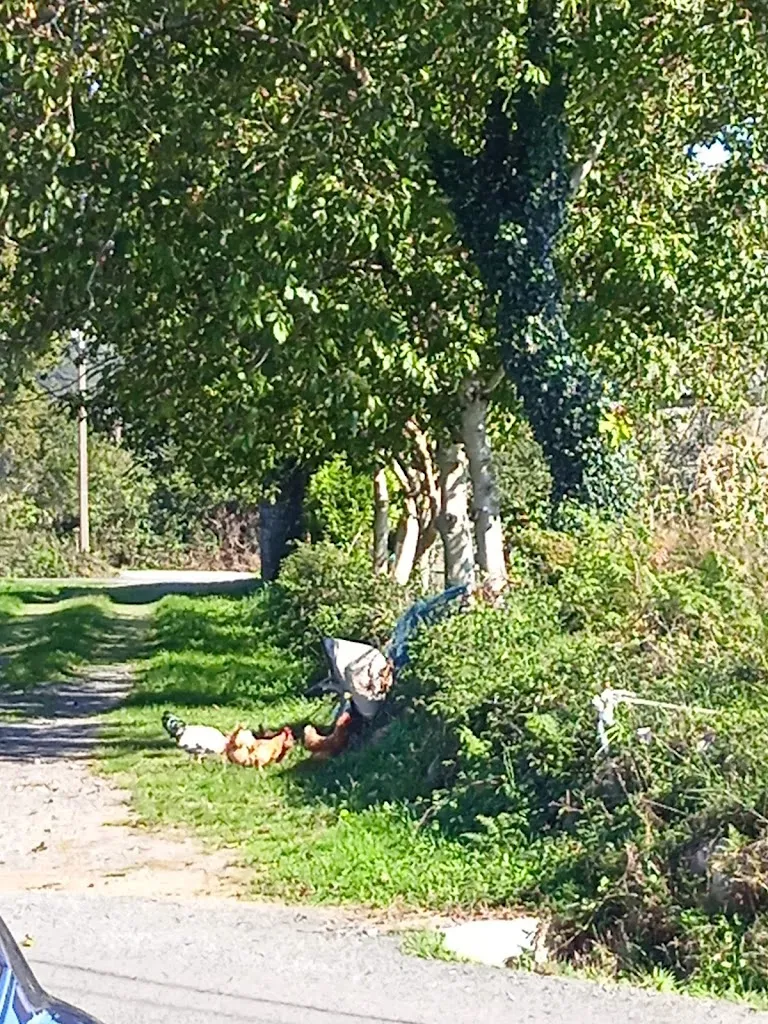 A Casa do Xosé_Vilasantar_slider_image_3