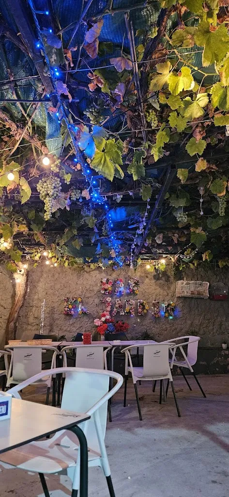 Laura Balsalobre_Bar El Jardin_Villalba de Duero_review