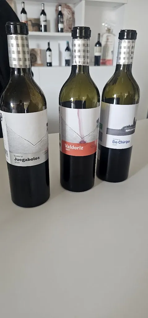 Menu_bodegas y viñedos valderiz sl_Villaescusa de Roa_immagine_5