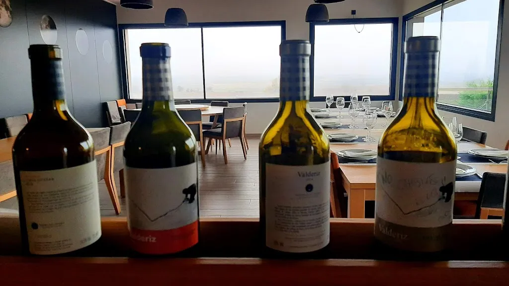 Menu_bodegas y viñedos valderiz sl_Villaescusa de Roa_immagine_7