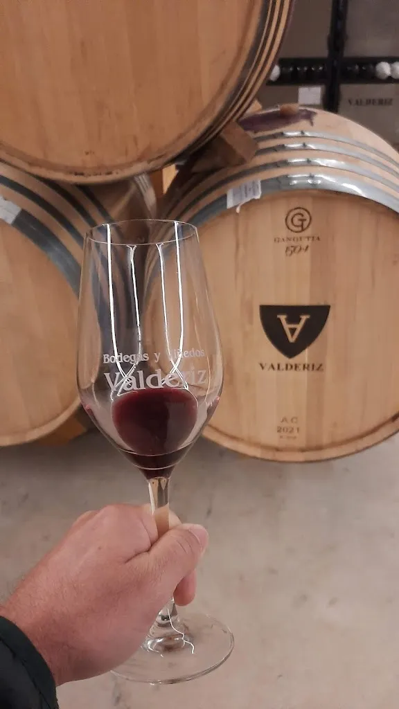 Menu_bodegas y viñedos valderiz sl_Villaescusa de Roa_immagine_9