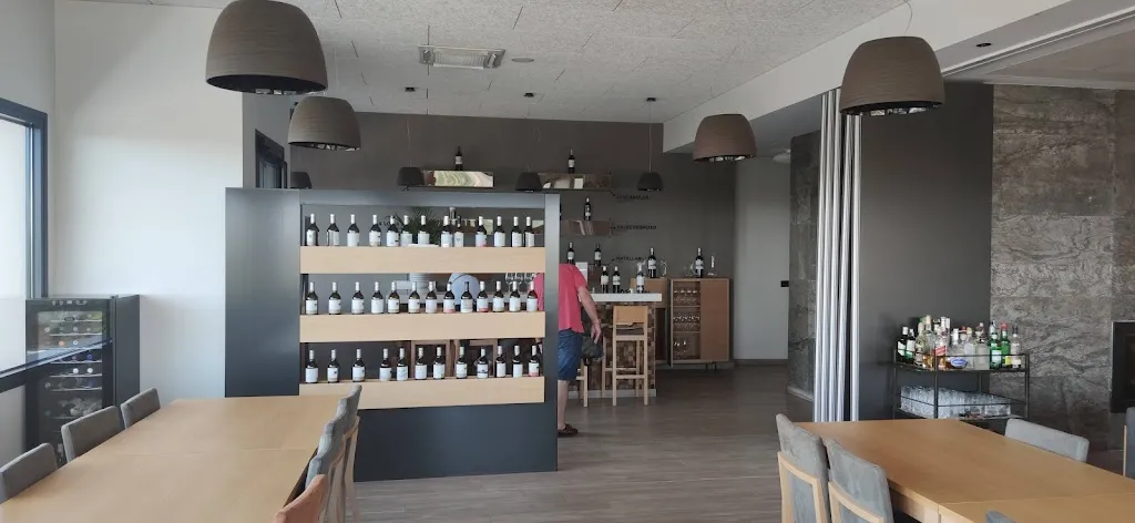 bodegas y viñedos valderiz sl_Villaescusa de Roa_slider_image_1