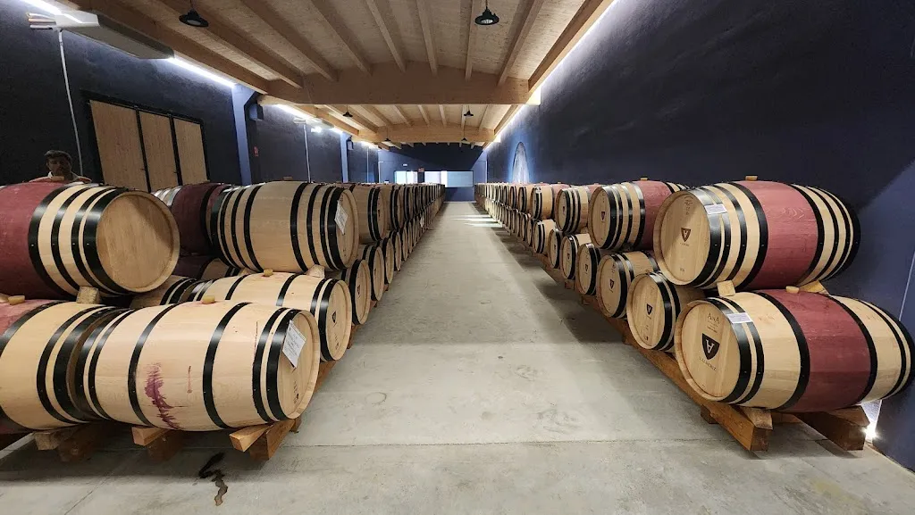 bodegas y viñedos valderiz sl_Villaescusa de Roa_slider_image_3