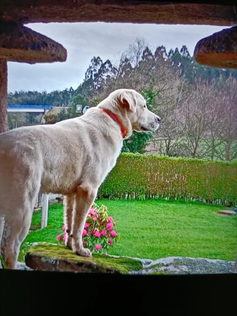 HOSTAL LINARES_Villanueva de Argaño_slider_image_3