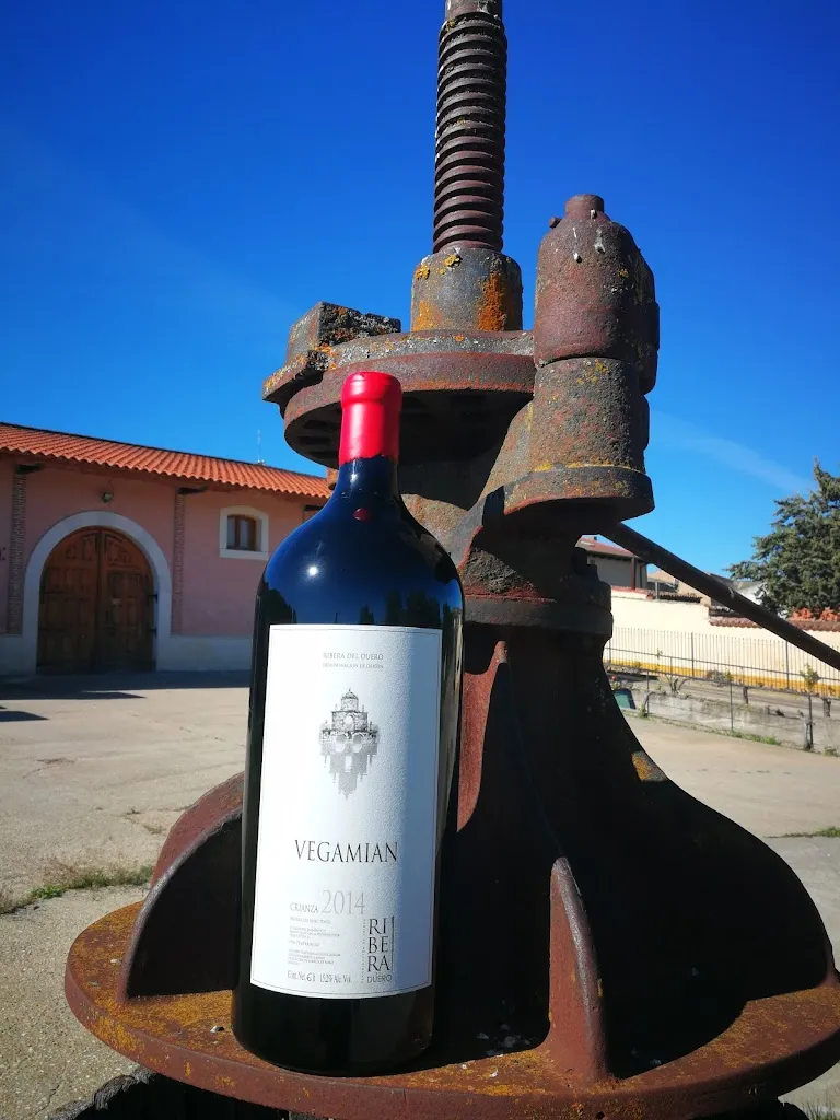 Viña Tuelda, S.L. - Ribera del Duero restaurant in Villatuelda