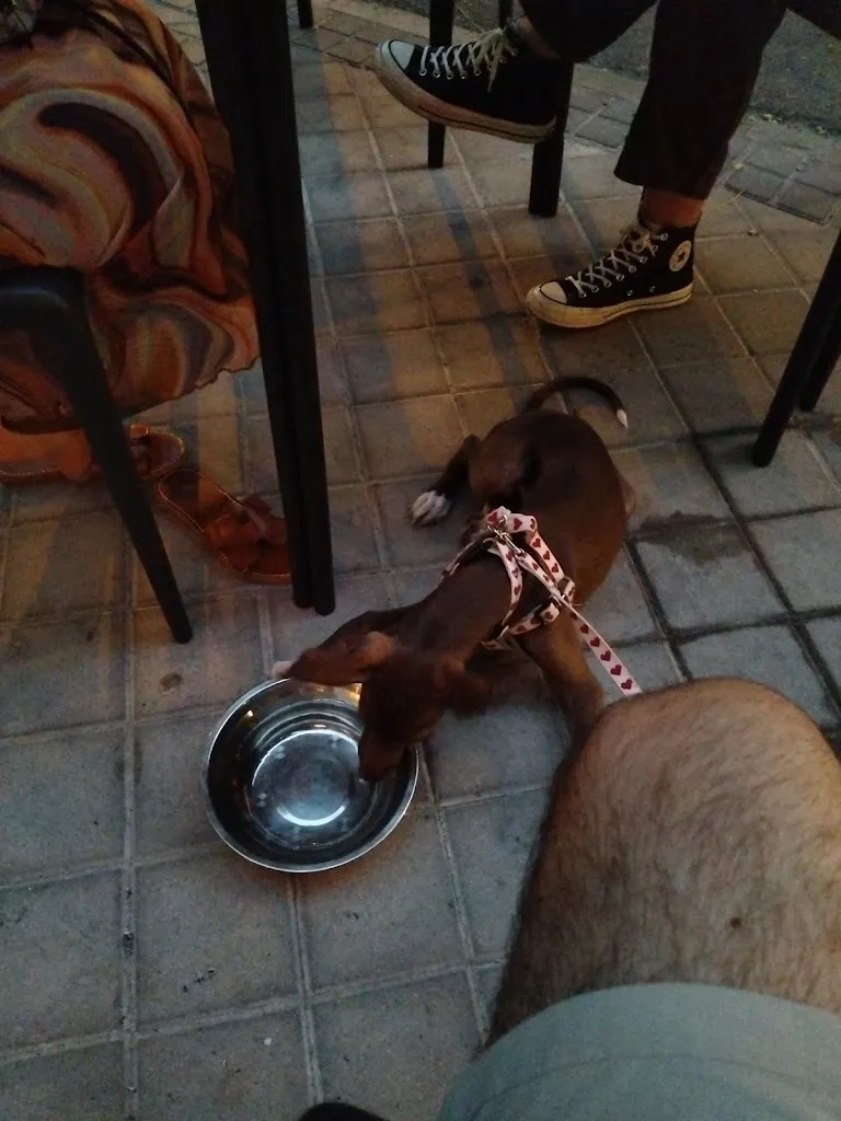 Javi Munoz_Taberna Alaia_Alía_review